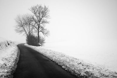 Bare trees on snow covered landscape against clear sky