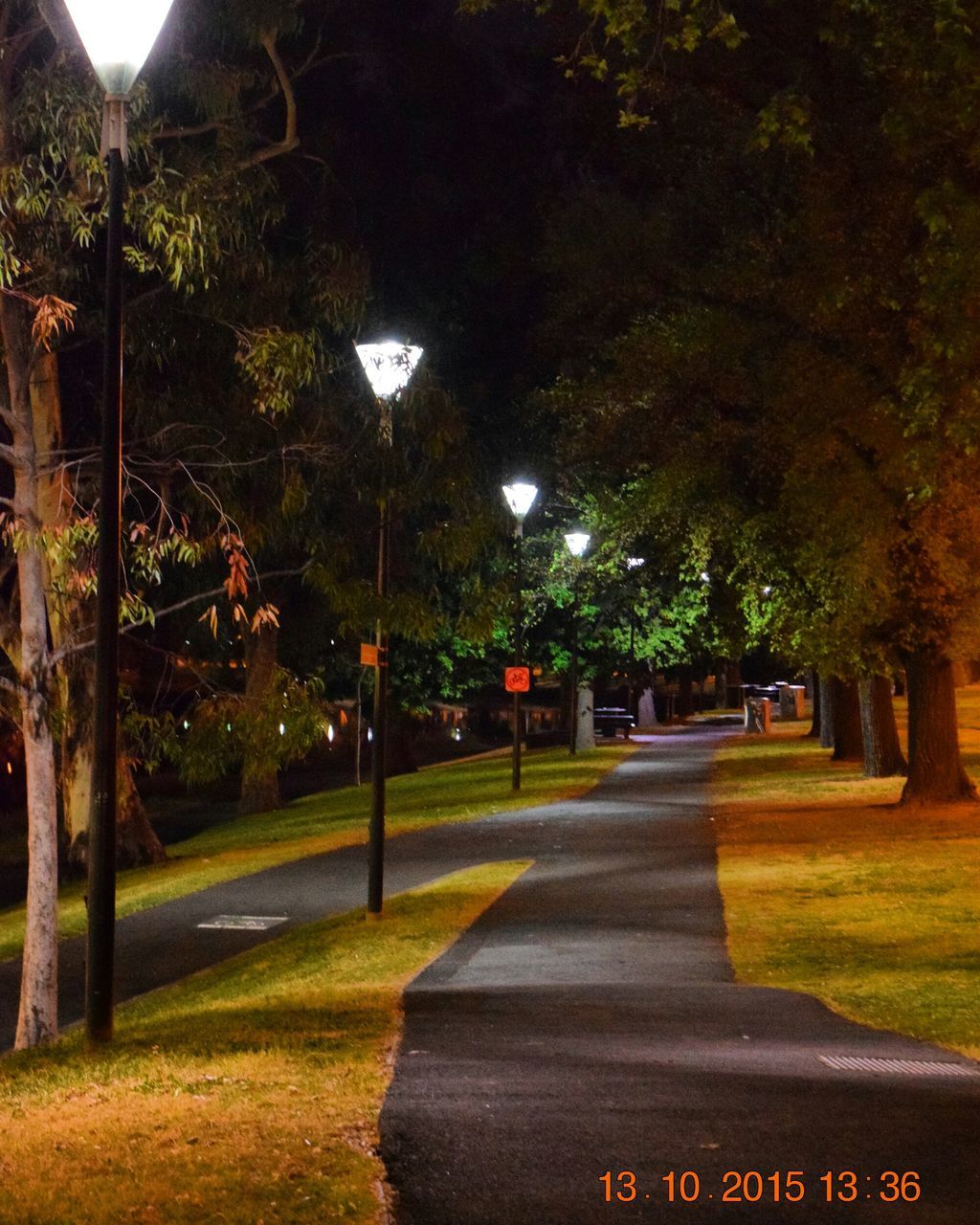 tree, the way forward, road, transportation, street light, street, road marking, diminishing perspective, empty, empty road, illuminated, grass, growth, road sign, lighting equipment, vanishing point, green color, night, outdoors, treelined