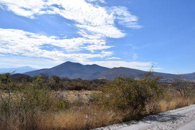 Scenic view of landscape against sky