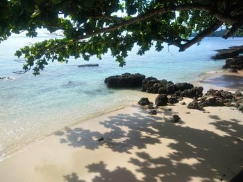 Scenic view of beach against sky