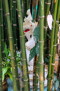 Abandoned sculpture amidst bamboo plants