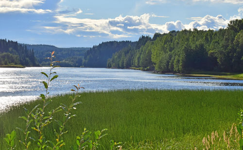 Scenic view of lake against sky