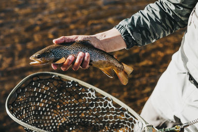 Midsection of hiker holding fish while standing in river