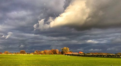 Scenic view of agricultural field against sky