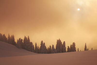 Trees on snow covered land against sky during sunset