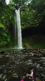 Scenic view of waterfall in forest