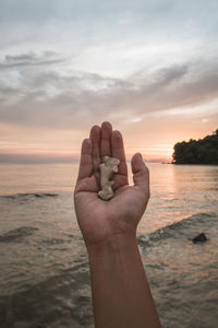 Human hand holding seashell against sky during sunset