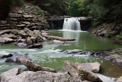 Scenic view of waterfall in forest