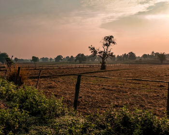 Scenic view of field against sky during sunset