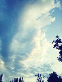 Low angle view of silhouette trees against blue sky