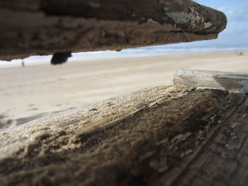 View of sandy shore