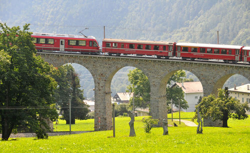 Train on bridge against trees