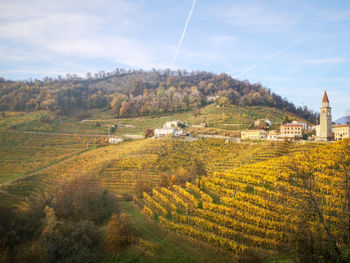 Scenic view of agricultural field against sky