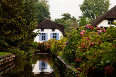 House amidst trees and buildings against sky and waterway 