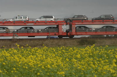 Train on field against sky