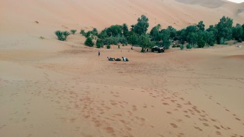 Scenic view of desert against sky