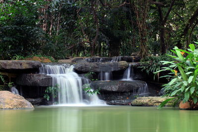 Waterfall in forest