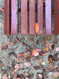 High angle view of dry maple leaves on pumpkin during autumn