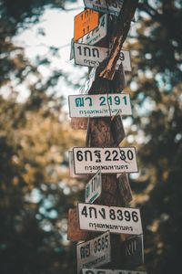 Low angle view of information sign against trees