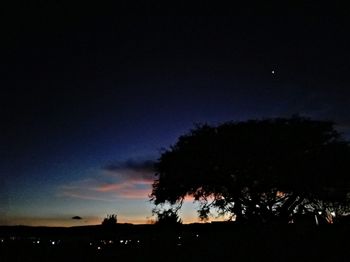 Silhouette trees against sky at night