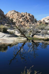Reflection of tree and rocks in lake against blue sky
