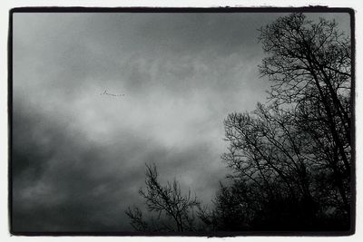 Low angle view of bare trees against sky