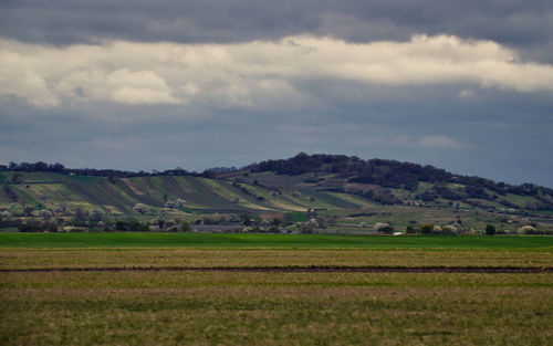 Scenic view of field against sky