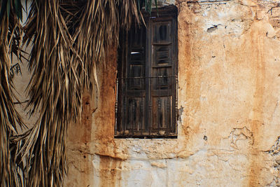 Derelict old farmhouse with withered palm tree and balcony