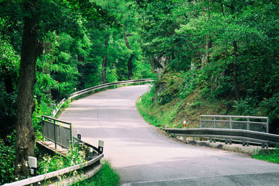 Empty road amidst trees in forest