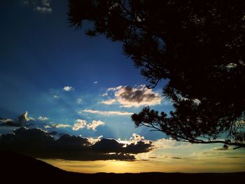 Silhouette of trees against cloudy sky