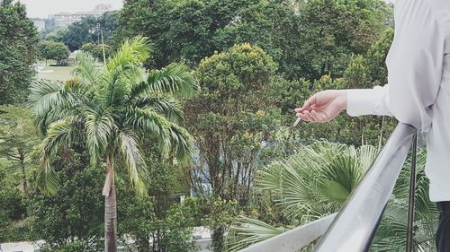 Midsection of woman standing by palm trees