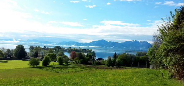 Scenic view of field against sky