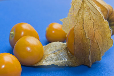Close-up of oranges against blue background