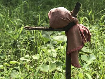 Midsection of person wearing hat on field