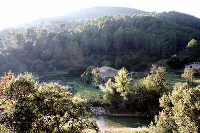 High angle view of trees by lake