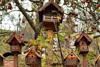 Low angle shot of bird houses in nature