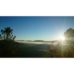 Scenic view of landscape against clear sky at sunset