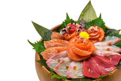 Close-up of fish against white background