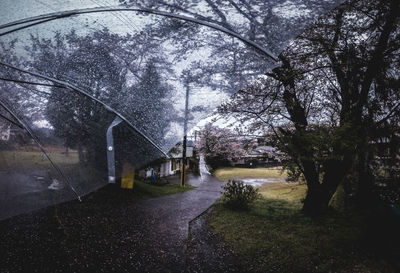 Wet footpath in park during rainy season