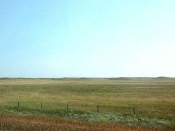 Scenic view of field against clear blue sky