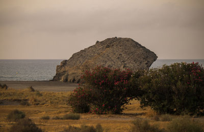 Scenic view of rock in monsul beach in cabo de gata nature park, almeria, spain,  against sky