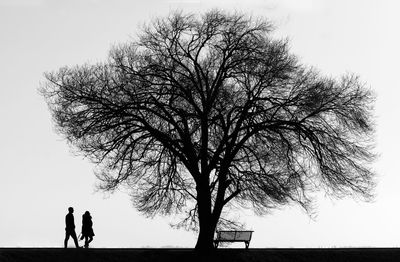 Silhouette people standing by tree against sky