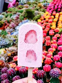 Close-up of ice cream with colourful cactus