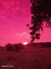 Silhouette trees on field against sky during sunset