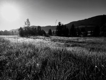 Field against clear sky