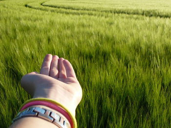 Cropped hand on grassy landscape