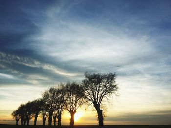 Silhouette tree against sky during sunset