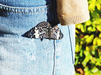 Midsection of woman with butterfly on jeans