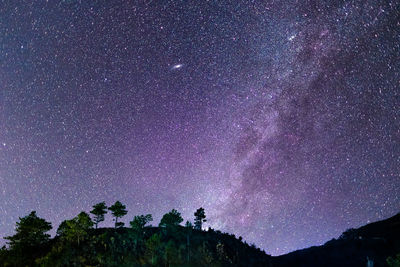 Low angle view of stars against sky at night