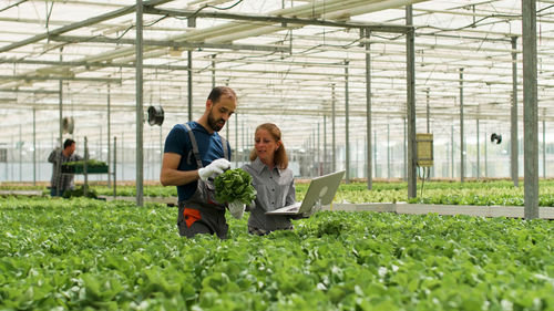 High angle view of people in greenhouse